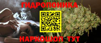гашик Конаково