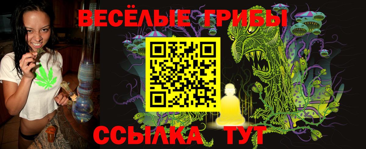 Касимов  Псилоцибиновые грибы мухоморы  Вход с VPN 