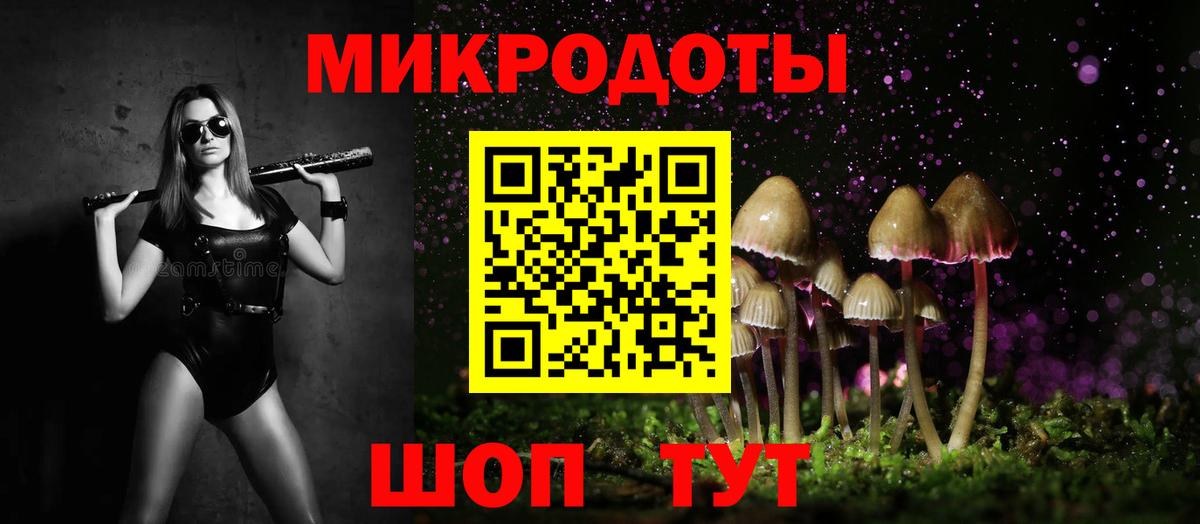 Галлюциногенные грибы Psilocybe Касимов